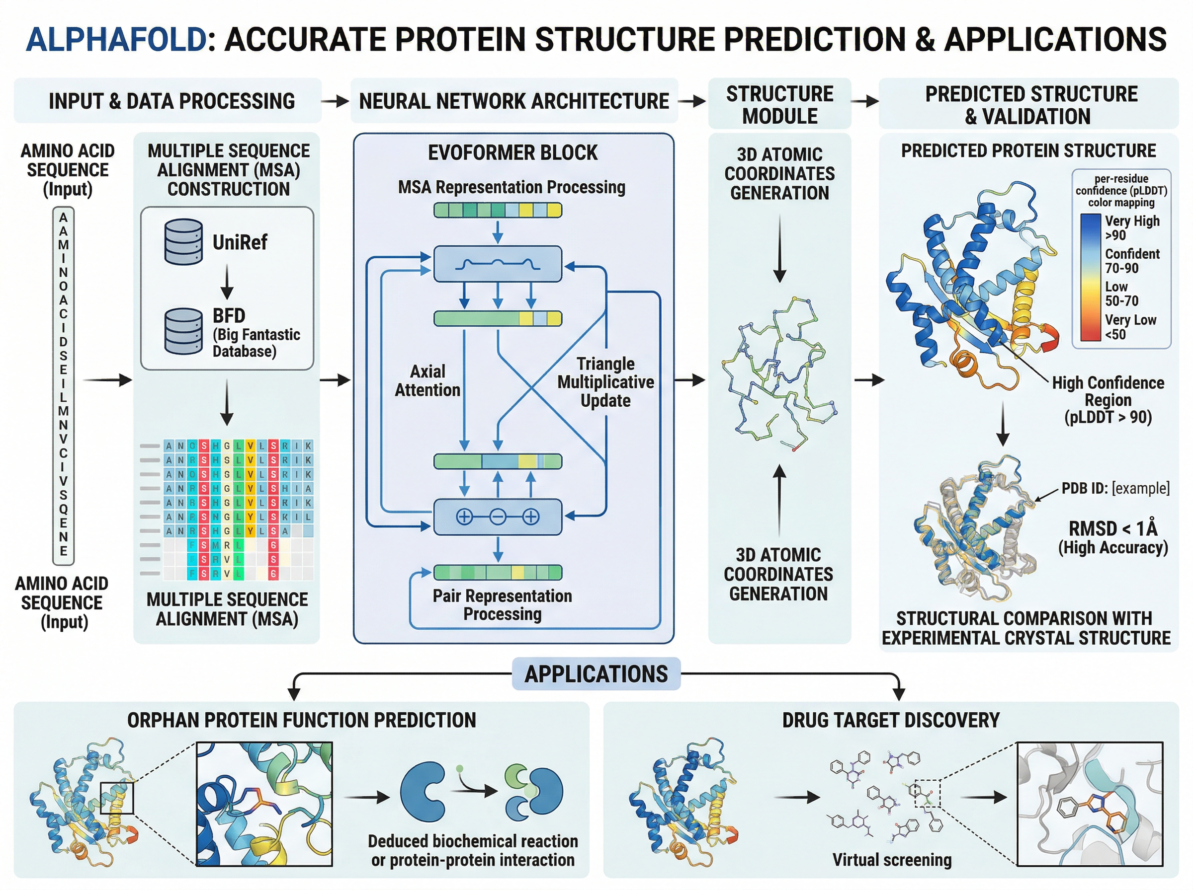 AlphaFold Protein Structure Prediction Template - FigPad