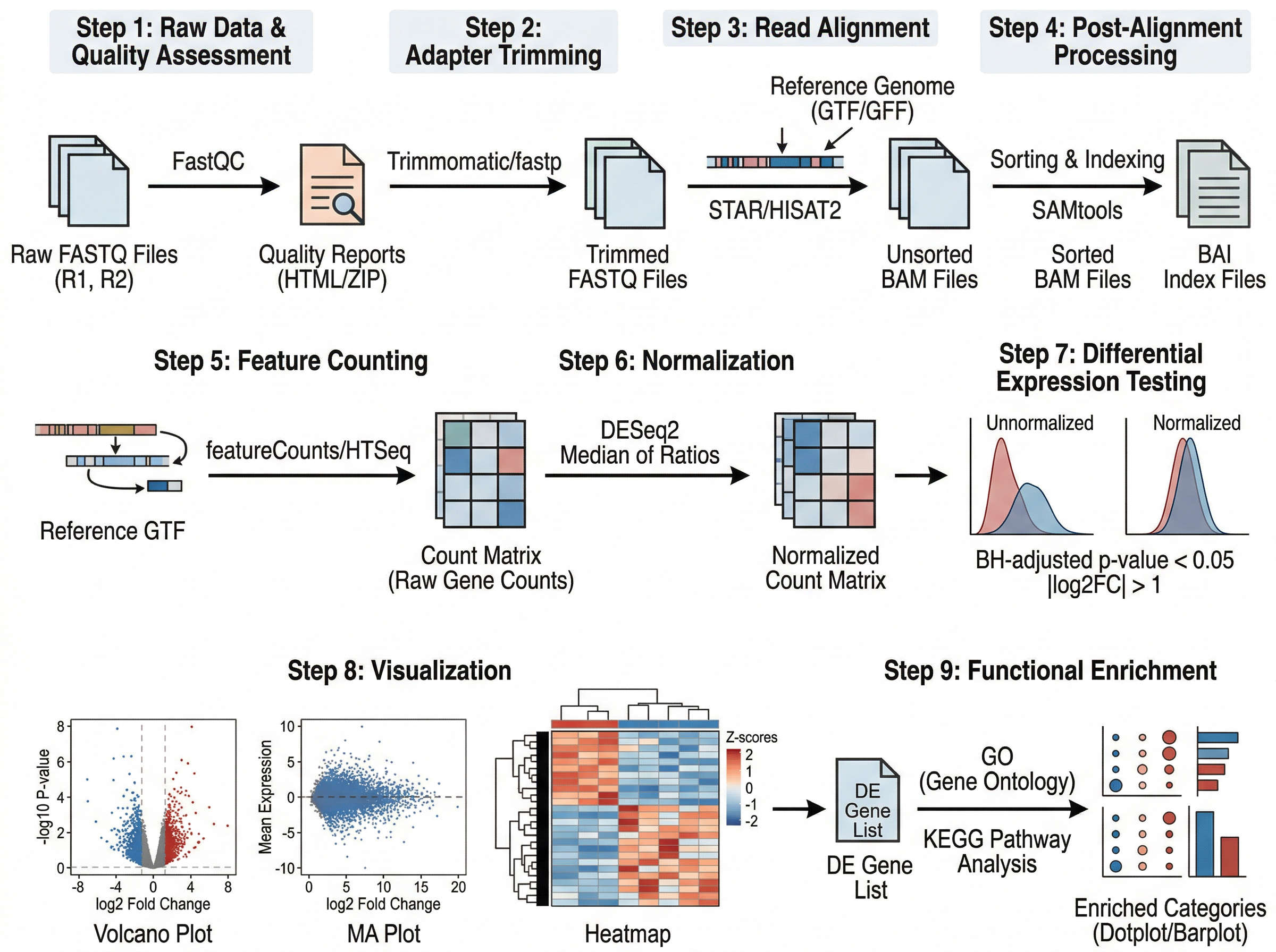 bulk RNA-seq 分析流程图｜科研绘图 | Yila